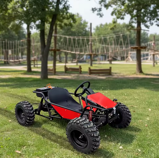 Four-Wheel Off Road Kart